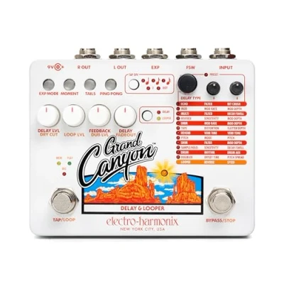 Afbeelding van Electro Harmonix Grand Canyon Effect unit voor gitaren