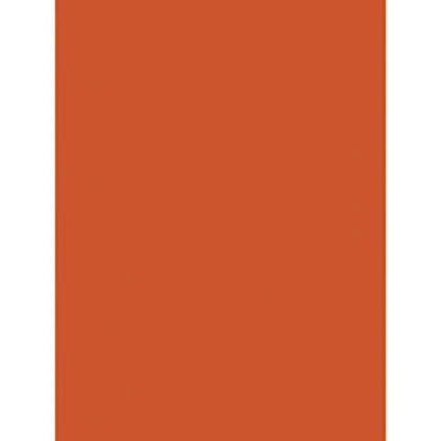 Afbeelding van Clairefontaine 384558C Set van 25 vellen posterpapier, 60 x 80 cm, 90 g, oranje, 1 pak