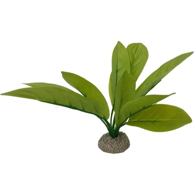 Afbeelding van Aqua Della Aquariumplanten (voeding) Vissen Echinodorus 3 24cm Groen 1st