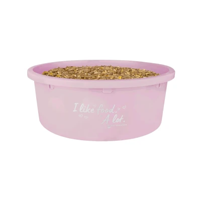 Image de Waldhausen Mangeoire XL avec Couvercle Linnea Rosa 8L