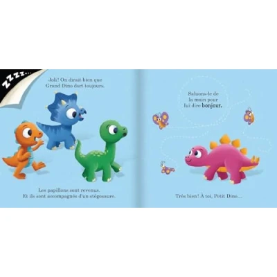Afbeelding van IL Y A UN DINOSAURE DANS CE LIVRE