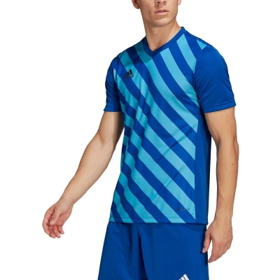 Afbeelding van adidas Performance Entrada 22 GFX Voetbalshirt, Heren, Maat: Small, Team royal blue/app sky rush