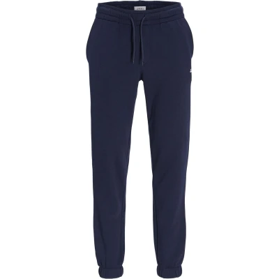 Afbeelding van JJ REBEL JREBGORM REG LOGO SWEAT PANTS NOOS Heren Broek Sky Captain