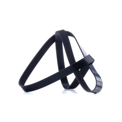Afbeelding van Poly V riem DAYCO 7PK1601
