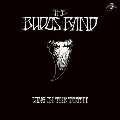 Afbeelding van Budos Band Long In The Tooth