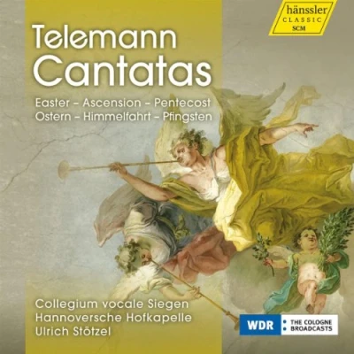 Afbeelding van Collegium Vocale Siegen, Hannoversche Hofkapelle, Ulrich Stötzel Telemann: Cantatas (CD)