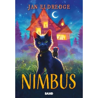 Afbeelding van NIMBUS