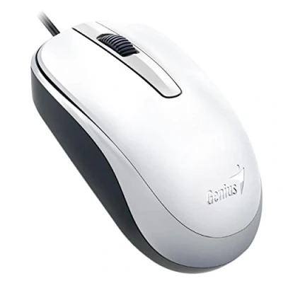 Afbeelding van Genius DX 120 muis USB Type A Optisch 1000 DPI Ambidextrous