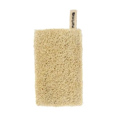 Image de Eponge grattante naturelle pour la cuisine Mr Eco