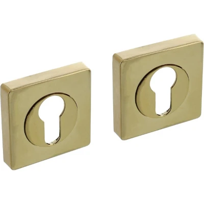 Afbeelding van Intersteel Rozet met profielcilindergat vierkant 55x55x10 mm messing titaan PVD