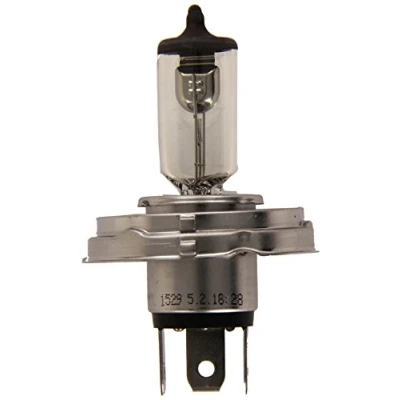 Afbeelding van Philips R2 Vision Halogeen lamp 12V P45t