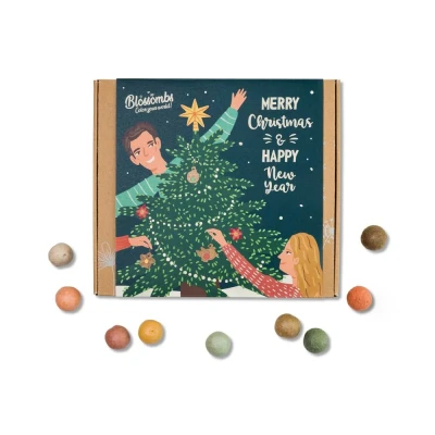 Afbeelding van Blossombs Giftbox Medium &#039;Xmas&#039; Zaadbolletjes