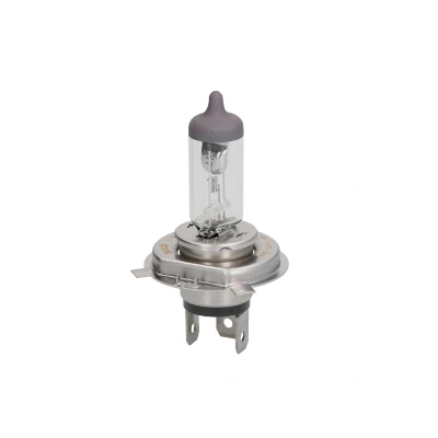 Afbeelding van Bosch Gloeilamp koplamp / mistlicht 1 987 302 048