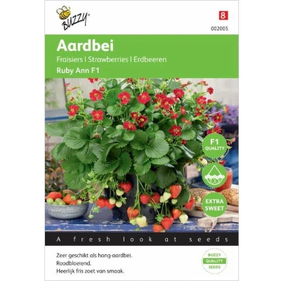 Afbeelding van Hangaardbei Ruby Ann F1 roodbloeiend Tuinplus Buzzy
