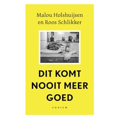 Afbeelding van Dit komt nooit meer goed