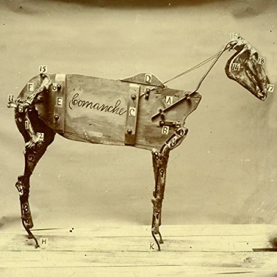 Afbeelding van Horse Comanche