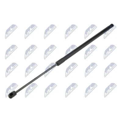 Afbeelding van NTY AE TY 044 Gasveer achterklep 555N 615mm Achter