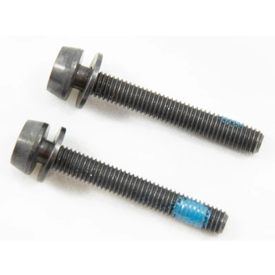 Afbeelding van Campagnolo Bouten Voor Schijfremklauw Achter 44 Mm 2 Stuks