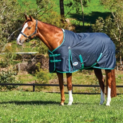 Image de Weatherbeeta Comfitec Classic Standard Neck Medium 220g Noir/Vert 125/175