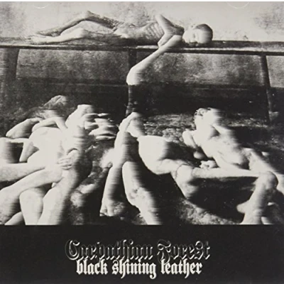 Afbeelding van Black Shining Leather