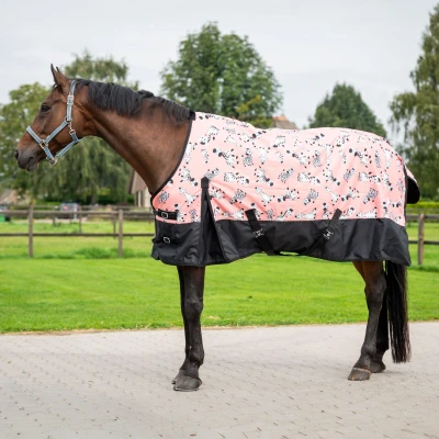 Image de HB Outdoor Rug 200g Mr Squeez