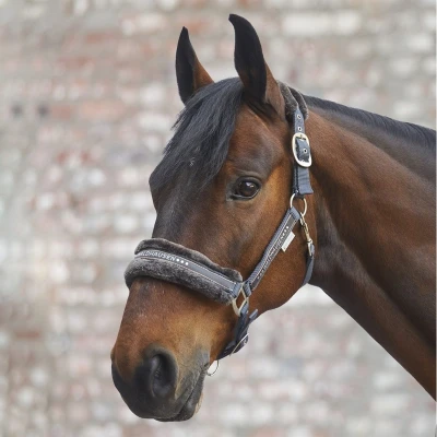 Afbeelding van Waldhausen Halter Elegant Donkergrijs Paardenhalster Full
