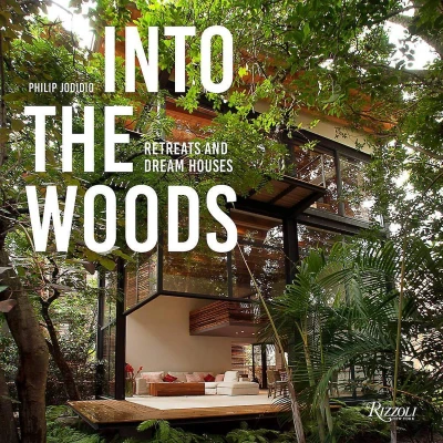 Afbeelding van Into The Woods