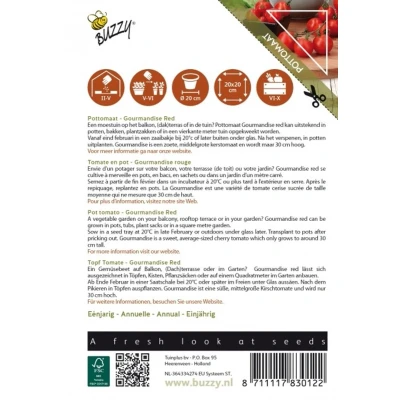 Afbeelding van Patio Veggies, Tomaat Gourmandise Red Buzzy