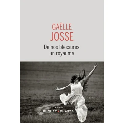 Afbeelding van De nos blessures un royaume
