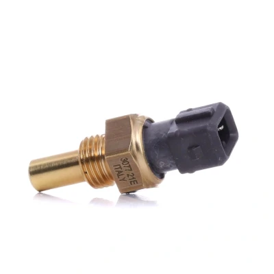 Afbeelding van Hella Temperatuursensor 6PT 009 107 211