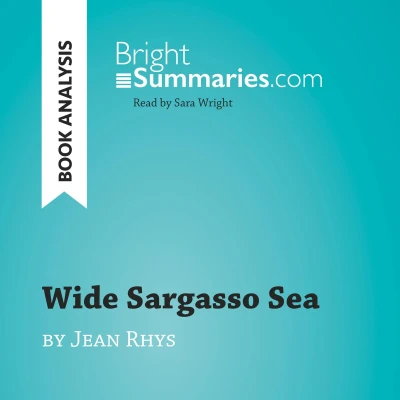 Afbeelding van Wide Sargasso Sea by Jean Rhys (Book Analysis)