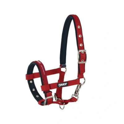 Image de Eskadron Licol Rouge Veulen