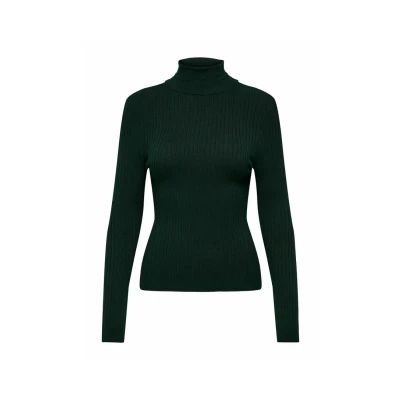 Afbeelding van Only Trui Onlkarol L/s Rollneck Pullover Knt 15165075 Scarab Dames Maat XS