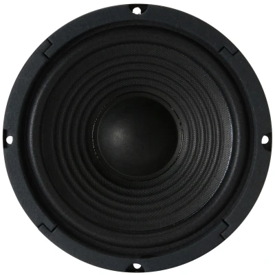 Afbeelding van Visaton W 170 Bass midwoofer