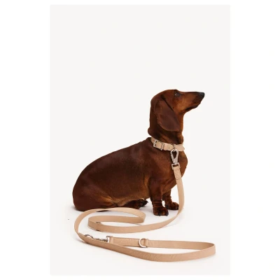 Afbeelding van Dogguo Zebra Leash Hondenriem Beige