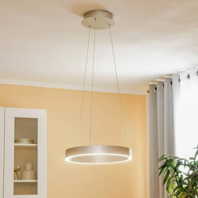 Afbeelding van Arcchio Hanglampen 1licht Aluminium geborsteld zilver Inclusief lichtbron