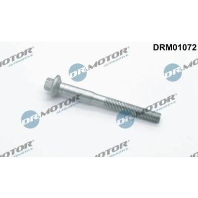 Afbeelding van Schroef, inspuitstukhouder Dr.Motor Automotive DRM01072