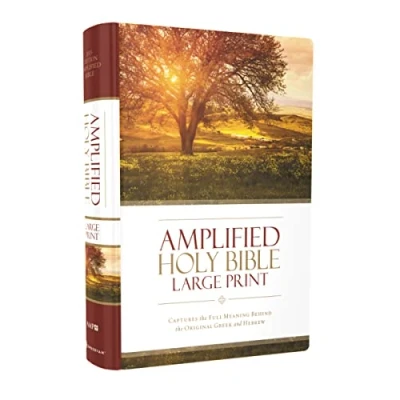 Afbeelding van Amplified Holy Bible