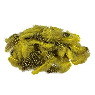 Afbeelding van Netuno 150 stuks gele sierveren, 6 g, parelhoenveren, stippen, veren voor vogelveren, knutselveren, doe het zelf decoratie, Pasen, Kerstmis, decoratiefiguur