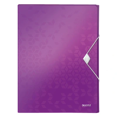 Image de Boîte de classement A4 Leitz Wow Violet