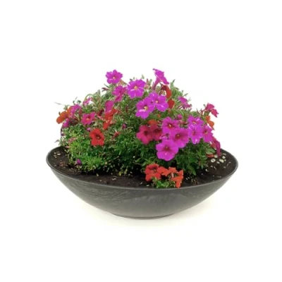 Afbeelding van matches21 Weerbestendige plantenbak voor buiten, grote decoratieve schaal zwart gemarmerd als bloembak, tuinschaal 35 cm bloemen, bonsai of begraafplaats, grafsieraad