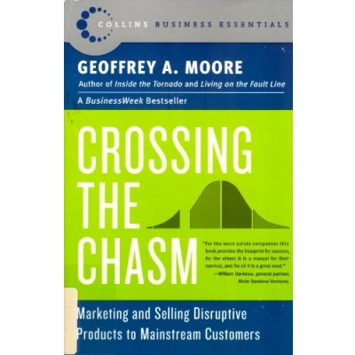 Afbeelding van Crossing the Chasm