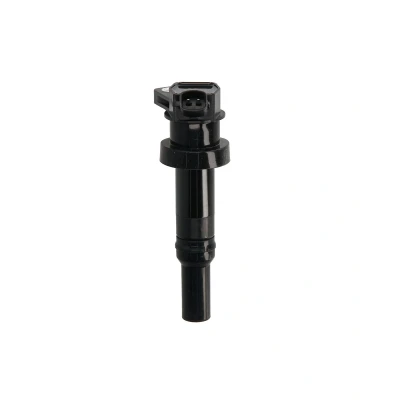 Afbeelding van Ngk D Bobine 49048