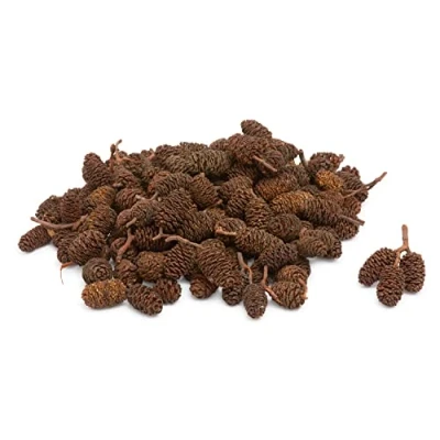 Afbeelding van VBS Mini natuurlijke dennenappels, ca. 190 g