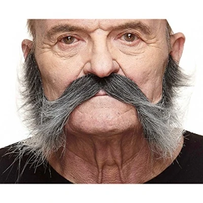 Afbeelding van Valse baard My Other Me Grijs
