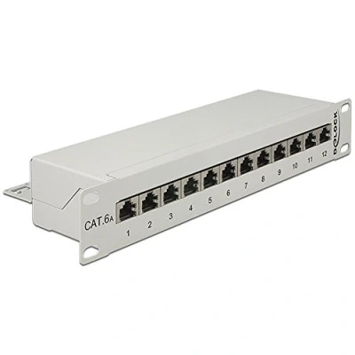 Image de Delock Tableau de connexions CAT 6a RJ 45 X 12 gris clair, RAL 7035 1U 10&quot;