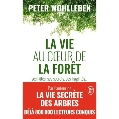 Image de la vie au coeur de forêt