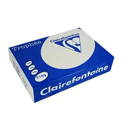 Afbeelding van Clairefontaine Trophée Pastel, gekleurd papier, A4, 210 g, 250 vel, lichtgrijs papier