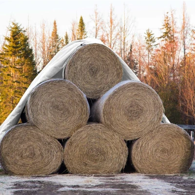 Afbeelding van Dekzeil met ogen, 8x12 m 180g/m², wit, gemaakt van polyethyleen