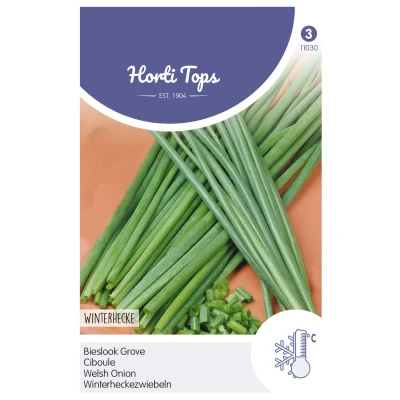 Afbeelding van Bieslook Grove Allium Fistulosum Hortitops
